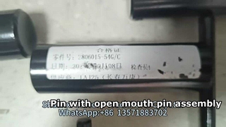 2806015-54G/C
