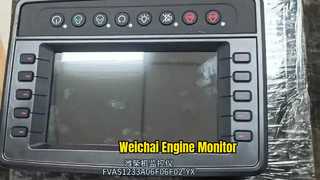 FVAS2-1233A06A-YX Remote monitoring device