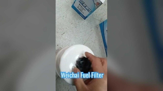 1000213843 1000871108 Fuel Roughing Filter
